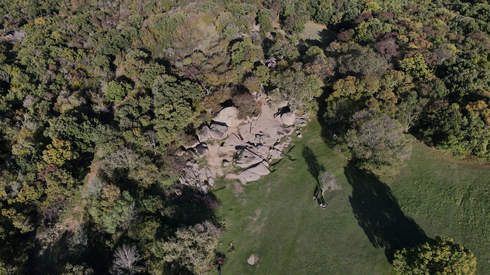 DJI 0640